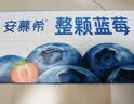 伊利安慕希整颗蓝莓 风味常温酸奶200g*8瓶/箱  礼盒装 实拍图