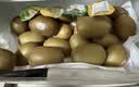 佳沛（zespri）新西兰金奇异果12粒特大果124-146g猕猴桃水果礼盒 实拍图
