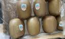 佳沛（zespri）新西兰金奇异果12粒特大果124-146g猕猴桃水果礼盒 实拍图