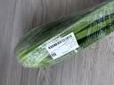 西芹1kg 实拍图