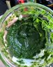 波咯咯（bololo）【商详领券】婴儿辅食机 宝宝多功能打泥机 小型料理机 新【F3S|升级微量仓】 生熟分离*无轴易清洗*10刀双杯绿 实拍图