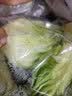罗马生菜约500g 实拍图