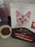 冠能猫粮成猫猫粮鸡肉味2.5kg 雀巢全价猫粮 稳固免疫 实拍图