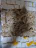 美好 香酥排骨 蒜香味2斤装1kg 油炸小吃半成品方便菜 空气炸锅食材 实拍图