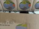 百菲酪水牛纯牛奶3.8g蛋白125ml*20盒 儿童奶 菠萝甘蔗 囤货礼盒礼品 实拍图