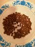 顽皮小金盾猫粮100%鲜肉全价成猫冻干猫粮1.8kg鸭肉配方新老随机发货 实拍图