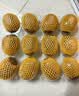 佳沛（zespri）新西兰金奇异果12粒特大果124-146g猕猴桃水果礼盒 实拍图