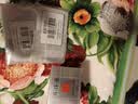 片仔癀灵芝臻颜淡纹眼霜紧致淡眼纹补水护肤品 30g生日礼物 实拍图