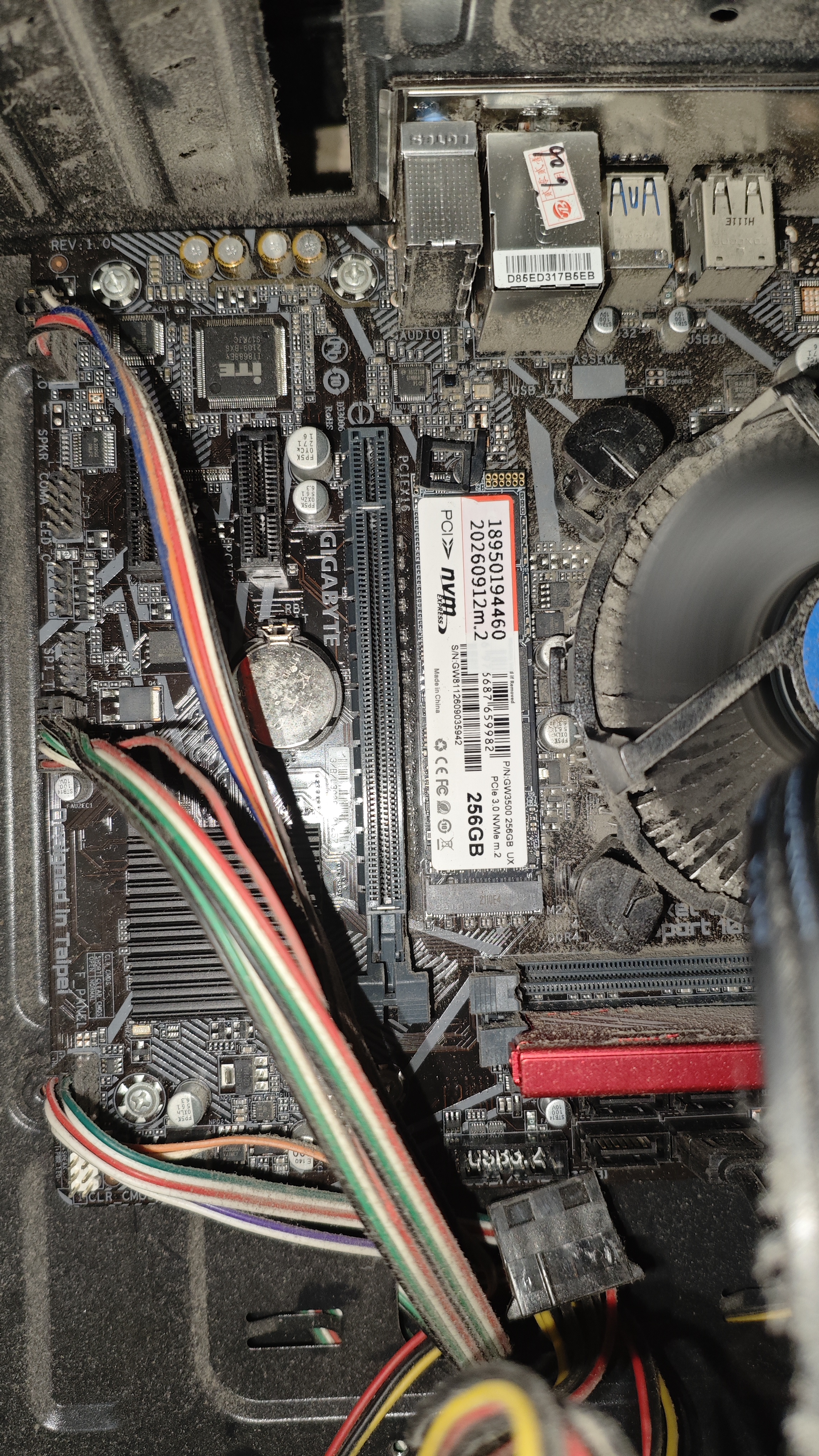 长城（Great Wall）256GB SSD固态硬盘 M.2接口(NVMe协议)PCIe 3.0x4 GW3500系列 实拍图