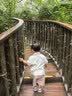 英氏婴幼儿小鱼泡芙 钙奶手指饼干 松脆米饼婴儿宝宝零食3盒尝鲜礼包 实拍图