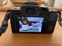 松下（Panasonic）Lumix G100D M43画幅相机 M43卡口 微单相机 无反数码相机 G100D单机+【25mmF1.7】单镜头定焦 实拍图