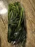 大菠菜300g 实拍图