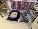 腆宠猫笼猫窝猫别墅猫咪笼子大号狗笼子猫笼子带厕所家用室内猫舍猫屋 实拍图