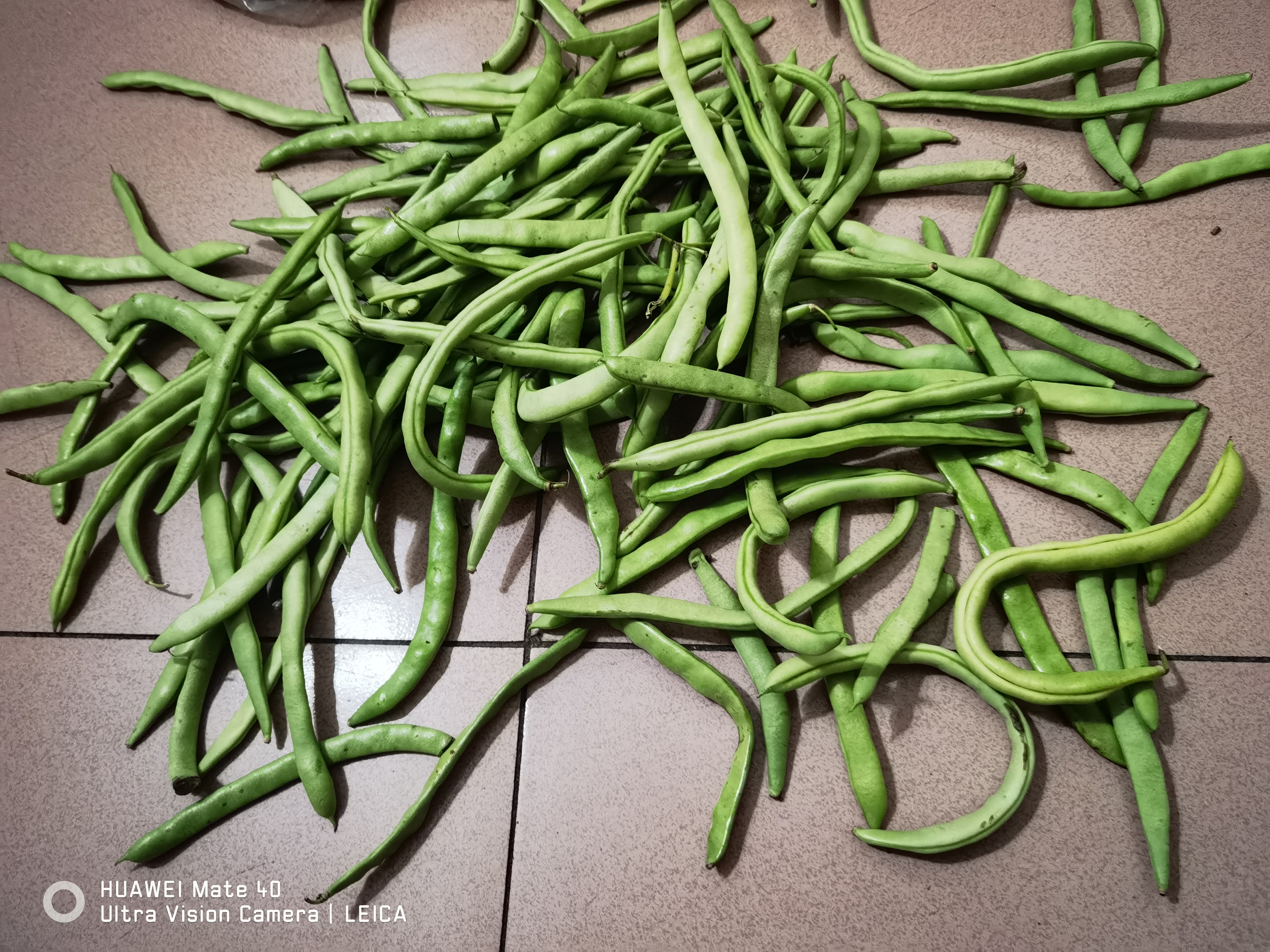 农家四季豆新鲜现摘云南长扁豆角农家应当季蔬菜芸豆现摘菜豆 新鲜四季豆3斤带箱 实拍图