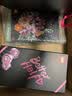 乐高（LEGO）积木10342 心动的信号同款粉黛花束男女孩玩具生日礼物赠礼袋 实拍图
