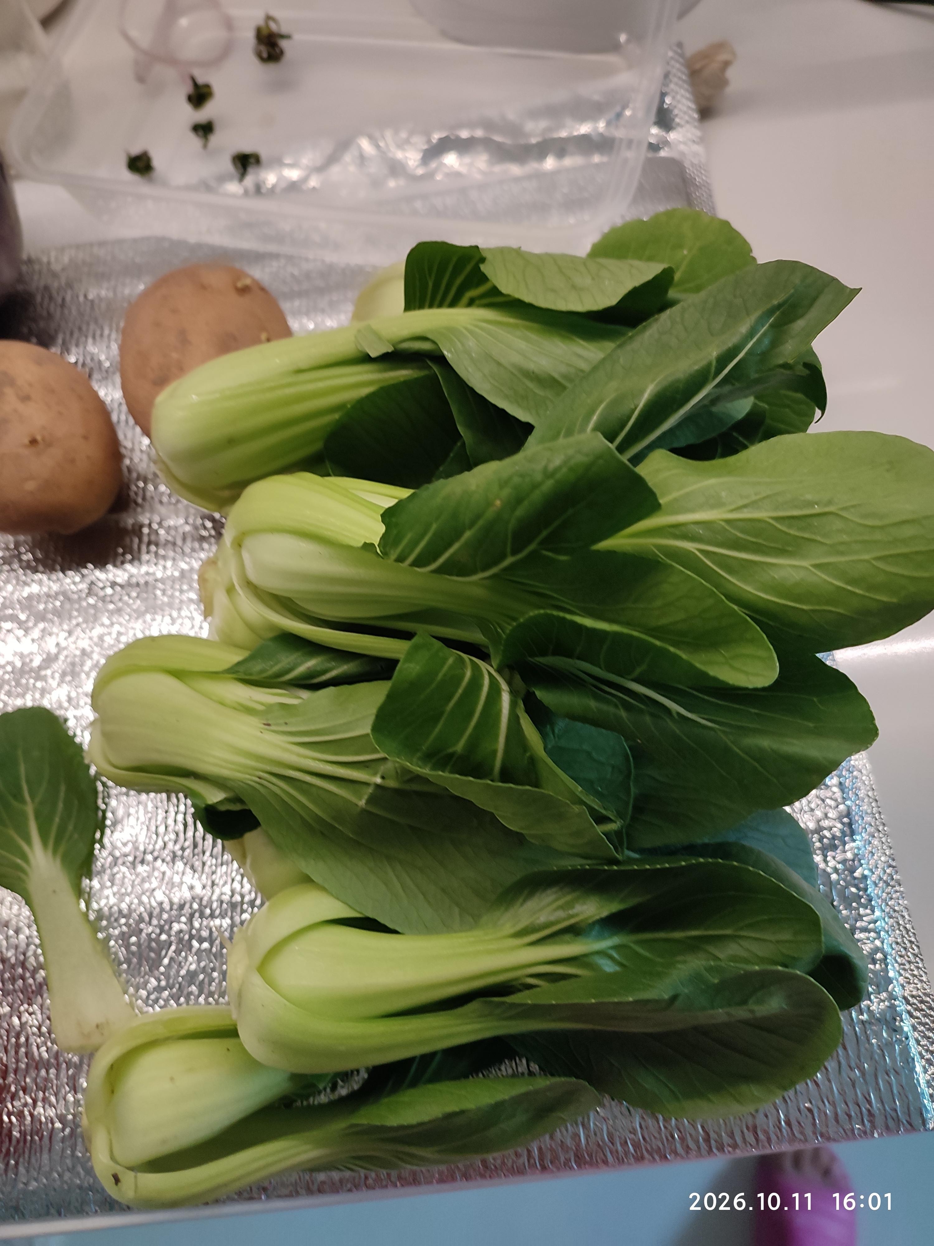 上海青约500g(油菜) 实拍图