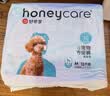 HONEYCARE好命家 狗狗纸尿裤公狗尿不湿生理裤M12片12包 实拍图