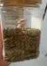 三只松鼠南瓜子仁400g罐装原味 新疆内蒙熟籽仁原味坚果炒货零食 实拍图