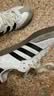 阿迪达斯adidas三叶草  samba T头鞋运动鞋男女休闲鞋B75806 38.5 实拍图