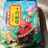 十月稻田 花生米 2斤 东北红花生仁 五谷杂粮粗粮 八宝粥原料 杂粮米 实拍图