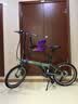 大行（DAHON）P8折叠自行车20英寸8级变速单车KBC083  消光灰绿【JD定制】 实拍图