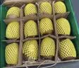 佳沛（zespri）新西兰金奇异果18粒优选果103-124g猕猴桃水果礼盒 实拍图