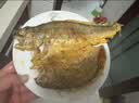三都港 冷冻黄花鱼700g/2条装 新鲜大黄鱼 深海鱼 生鲜 鱼类 海鲜水产 实拍图