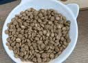 顽皮小金盾100%鲜肉全价幼猫猫粮 鸡肉三文鱼配方1.8kg新老随机发货 实拍图