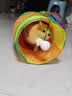光多拉彩虹猫隧道加长125cm带逗猫球自嗨解闷钻洞迷宫小猫咪玩具可折叠 实拍图