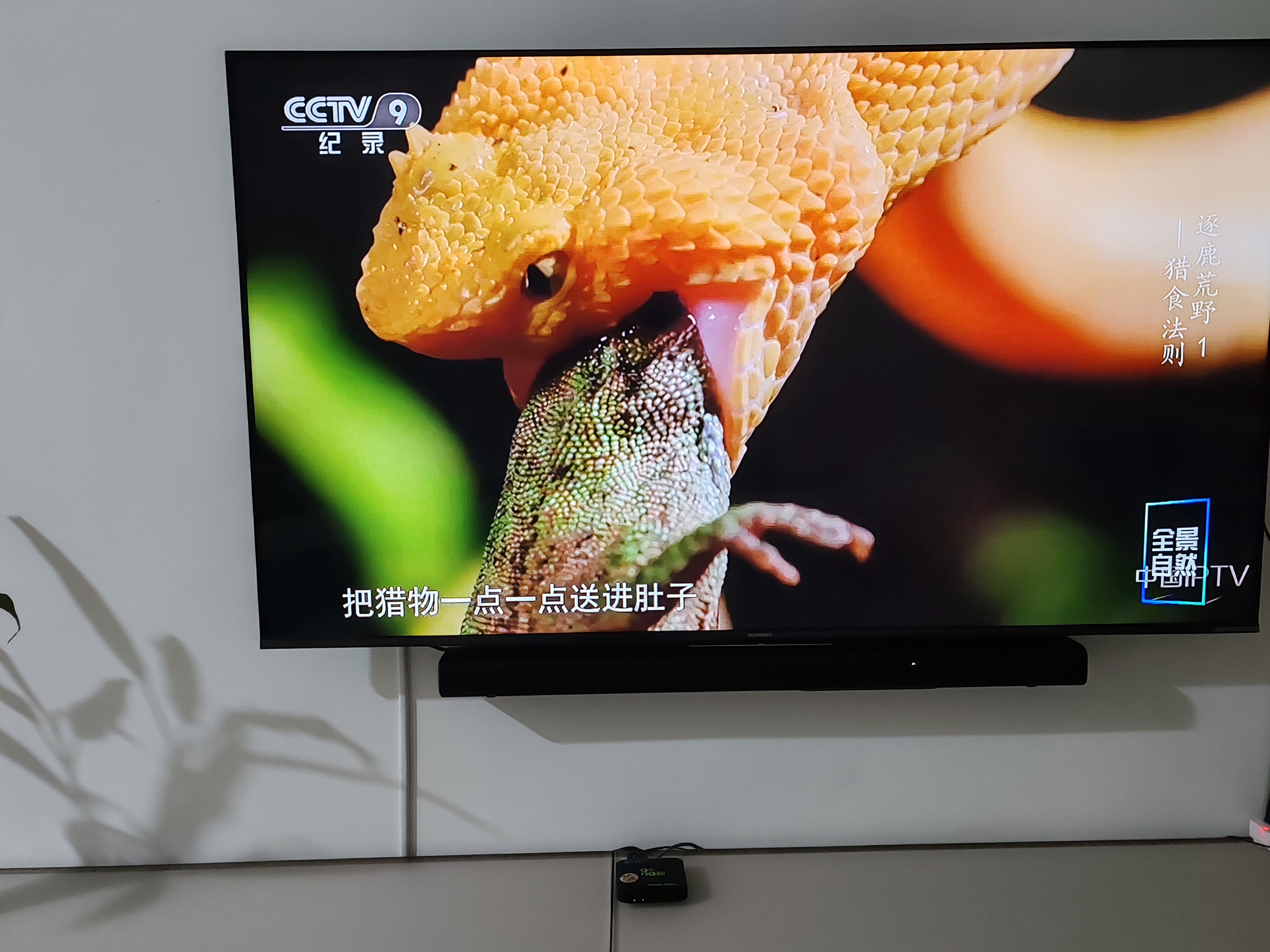 JBL音响CINEMASB550 回音壁 家庭影院 电视音响 3.1杜比音效soundbar 家用无线蓝牙电脑智能音箱 实拍图