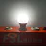佛山照明LED球泡10W大口节能灯泡E27明珠三代日光色6500K 实拍图