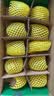 佳沛（zespri）绿奇异果10个装 宝宝果单果约80-89g 水果猕猴桃包邮 实拍图