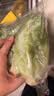 【烧烤季】钟灵山罗马生菜400g 实拍图
