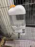 CARNO PET PRODUCTS云朵撞针水壶鸟用饮水器鹦鹉虎皮玄凤自动喂水器鸟笼用品400ML 实拍图