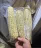 得力抽真空保鲜包装机真空机家用商用配套食品真空包装封口袋安全食品级材质22*30CM/50片升级款 实拍图