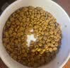 皇家猫粮 挑嘴成猫猫粮 高适口性 EF38 通用粮 12月以上 2KG 实拍图