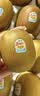 佳沛（zespri）新西兰金奇异果12粒特大果124-146g猕猴桃水果礼盒 实拍图