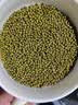 东北精选新薄皮新鲜豆绿豆2-5斤易煮易出沙发芽农家新绿豆汤解暑 精选绿豆 50g*1袋 体验装 实拍图