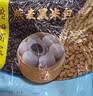 广州酒家燕麦黑米包750g 20个 早餐半成品杂粮粗粮包子生鲜速食面点生鲜 实拍图