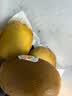 佳沛（zespri）新西兰金奇异果12粒特大果124-146g猕猴桃水果礼盒 实拍图