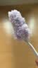 花王（KAO）静电除尘掸1个鸡毛掸子除尘扫灰家用不掉毛汽车擦车除尘掸子 实拍图