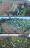 镭威视4g太阳能摄像头终身免流量AI室外免插电无电无网手机远程户外监控器家用360度无死角高清全景夜视 实拍图