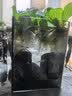 金晶超白玻璃桌面鱼缸小型家用办公室生态懒人全套造景小缸水草缸 裸缸+防滑垫 15*15*20 实拍图