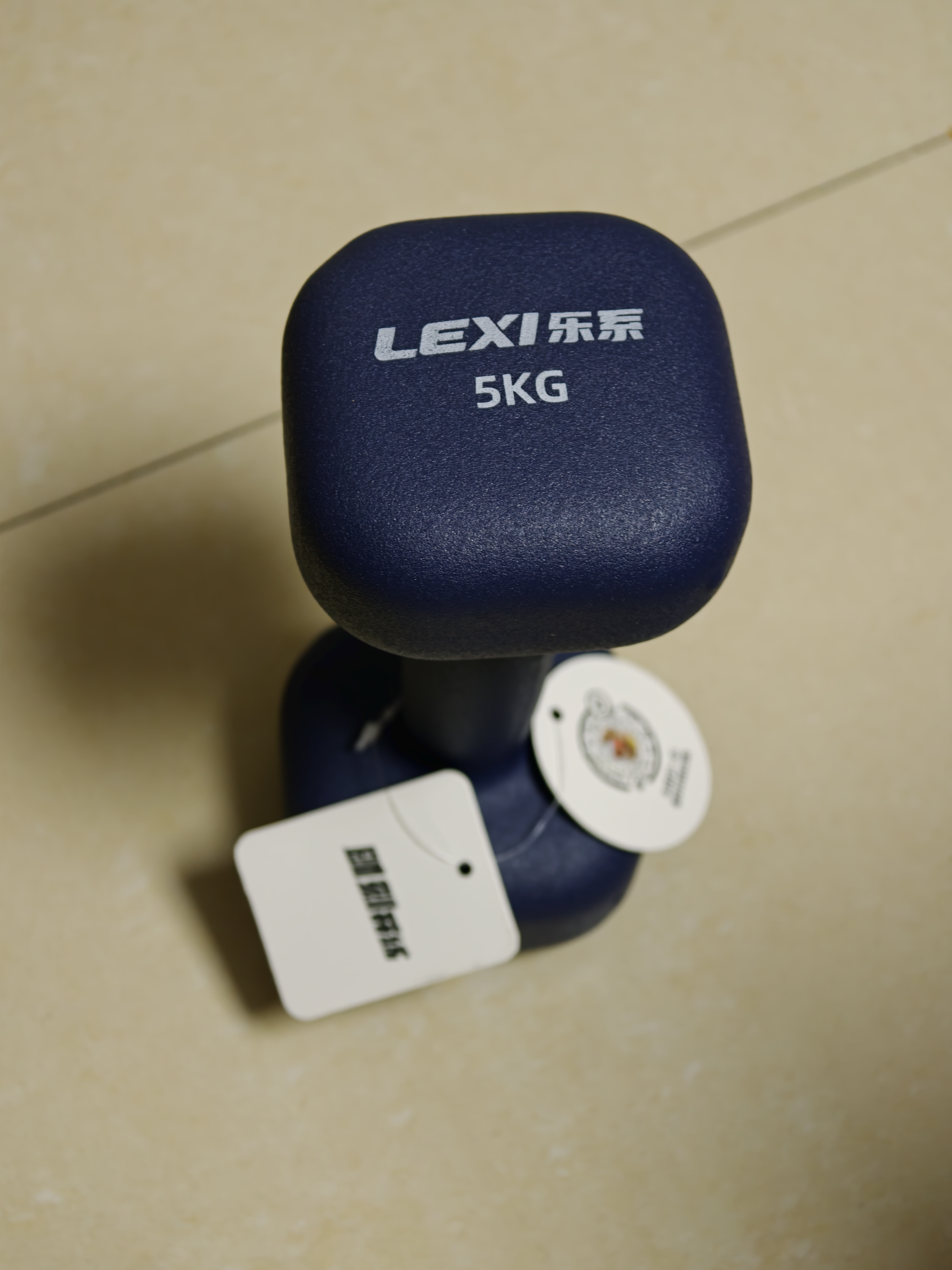 乐系（lexi）浸塑哑铃男士健身家用器械力量训练手臂肌肉塑形 深海灰5kg*2只 实拍图