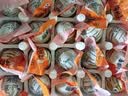 竹燕青北海烤海鸭蛋70g*20枚正宗红树林散养咸鸭蛋大流油即食熟企业团购 实拍图