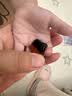 Inne因你蓝光盾叶黄素儿童30粒抱抱熊叶黄素软糖花青素婴幼儿学生3罐 实拍图