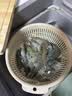 鲜活大海白虾300g（约12-18只） 实拍图