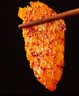 京东京造牛板筋香辣味128g牛肉小吃牛筋熟食牛肉干肉脯休闲解馋下酒零食 实拍图