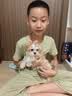 贝德美儿童香氛洗发水蓬松柔顺持久留香氨基酸茉莉花香洗发露335ml 实拍图