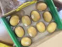 佳沛（zespri）新西兰金奇异果10粒巨大果146-175g猕猴桃水果礼盒 实拍图